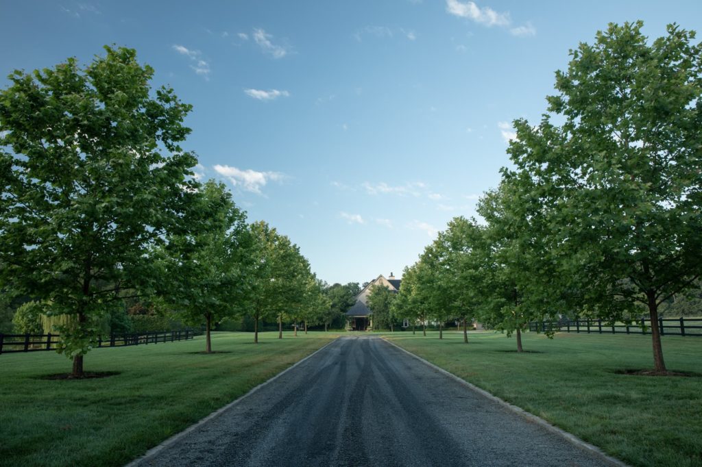 driveway into french country estate