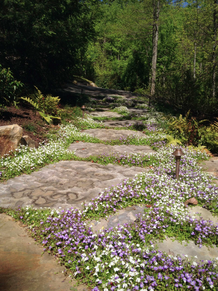 Multilevel Mountain Garden - Cliffs at Glassy